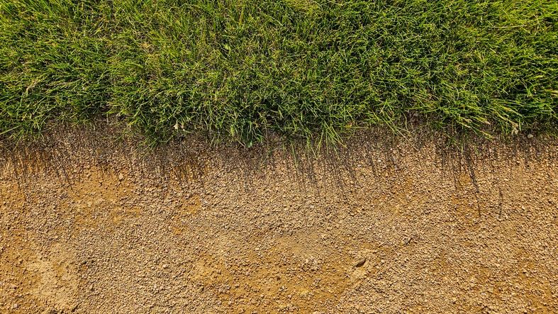 Soil and grass border detail